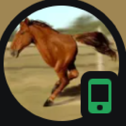 Modaalz profile picture