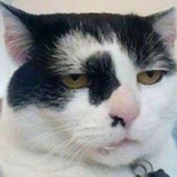 Ozon671games profile picture