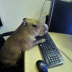 Razor profile picture