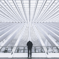 Rexha profile picture