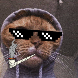 ShotFailed profile picture